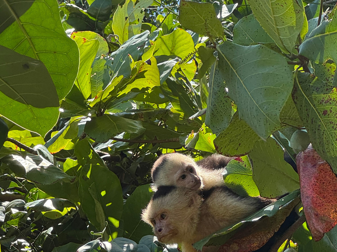 Best of Costa Rica DMC-圣何塞必去景点