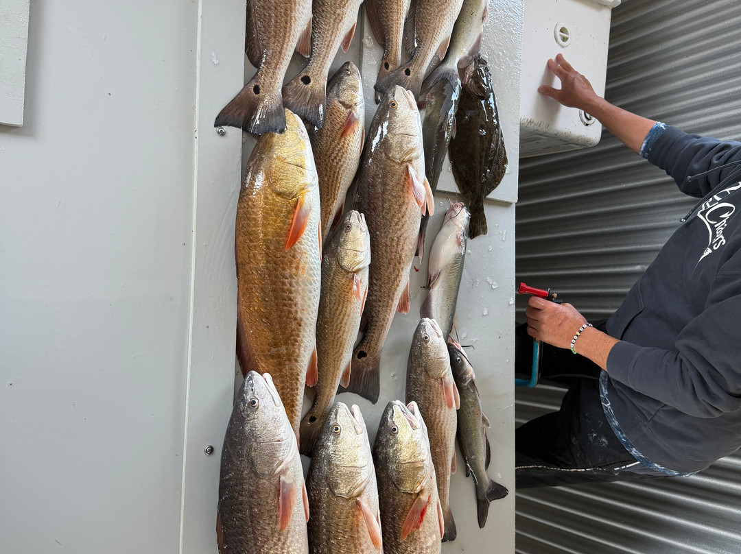 Bayou Charters-Saint Bernard必去景点