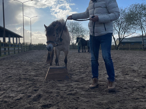 De Smulhoeve-卡特斯维尔必去景点