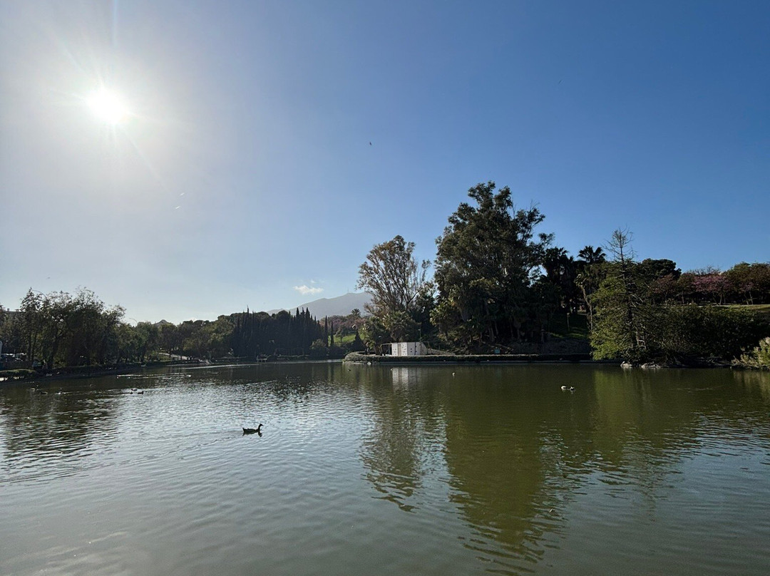 鸽子公园-班纳玛德纳必去景点