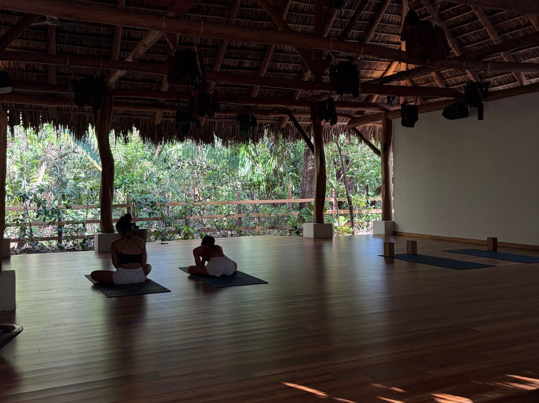 The Harmony Hotel主图