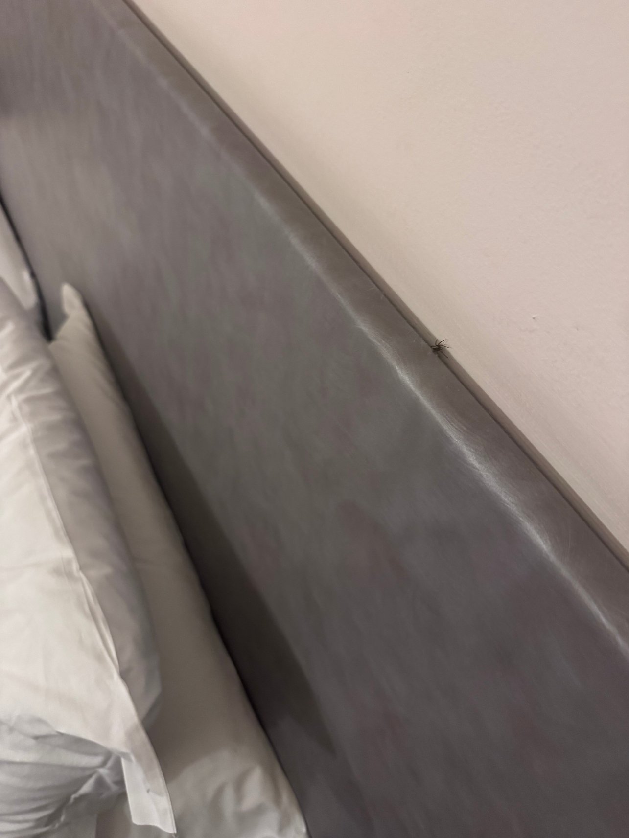 拉文纳汽车酒店-官方