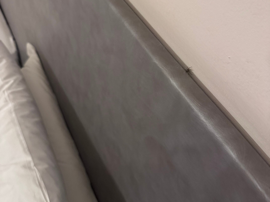 拉文纳汽车酒店主图