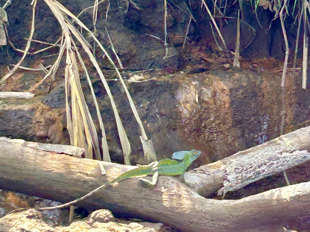 Costa Rica Expeditions-圣何塞必去景点