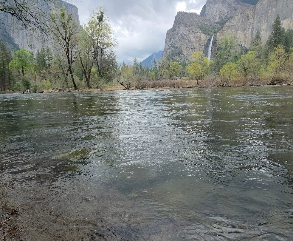 Yosemite 360 Tours-菲什营必去景点