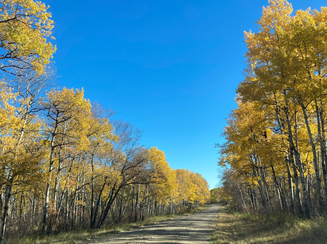 Riding Mountain National Park-Wasagaming必去景点