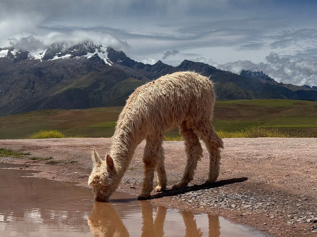 Mountain View Experiences-Maras必去景点