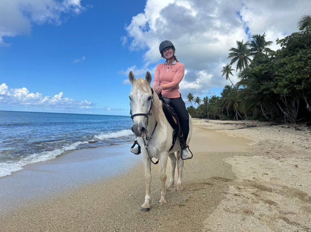 Esperanza Riding Company-维切克岛必去景点