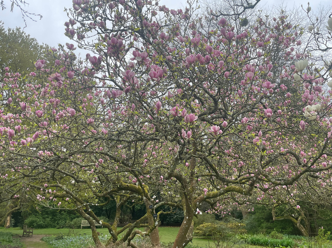 Sir Harold Hillier Gardens-罗姆西必去景点