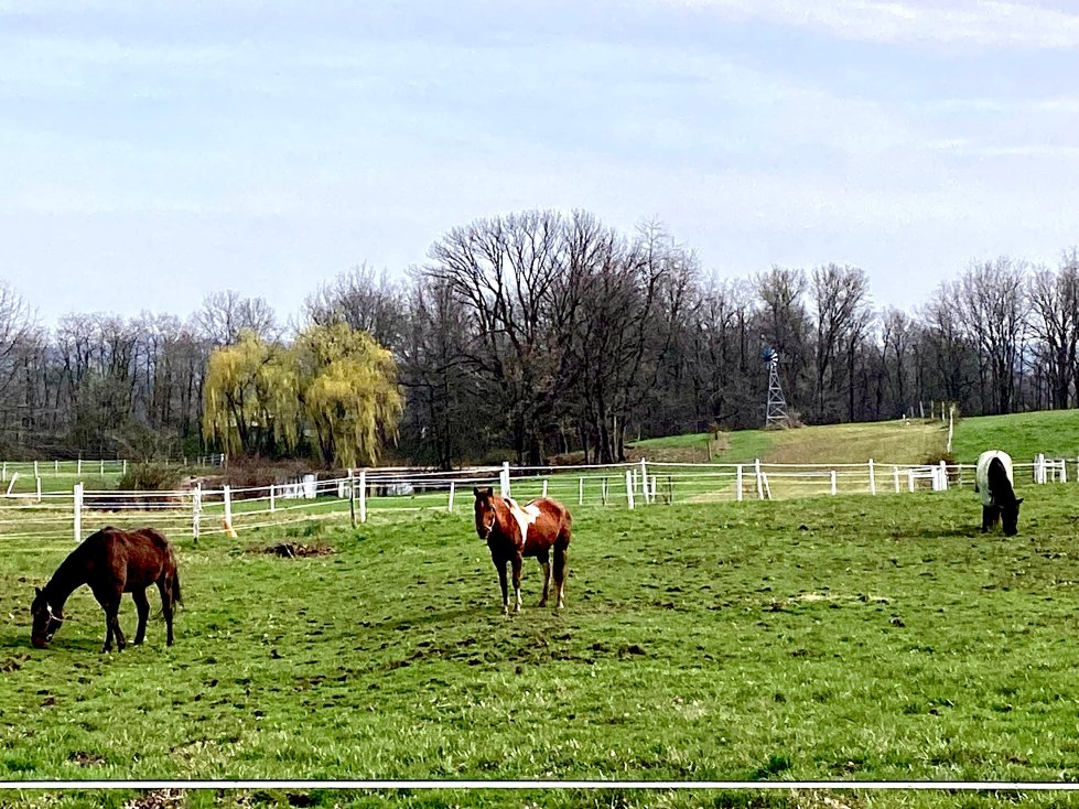韦斯特文德农场民宿旅馆-官方
