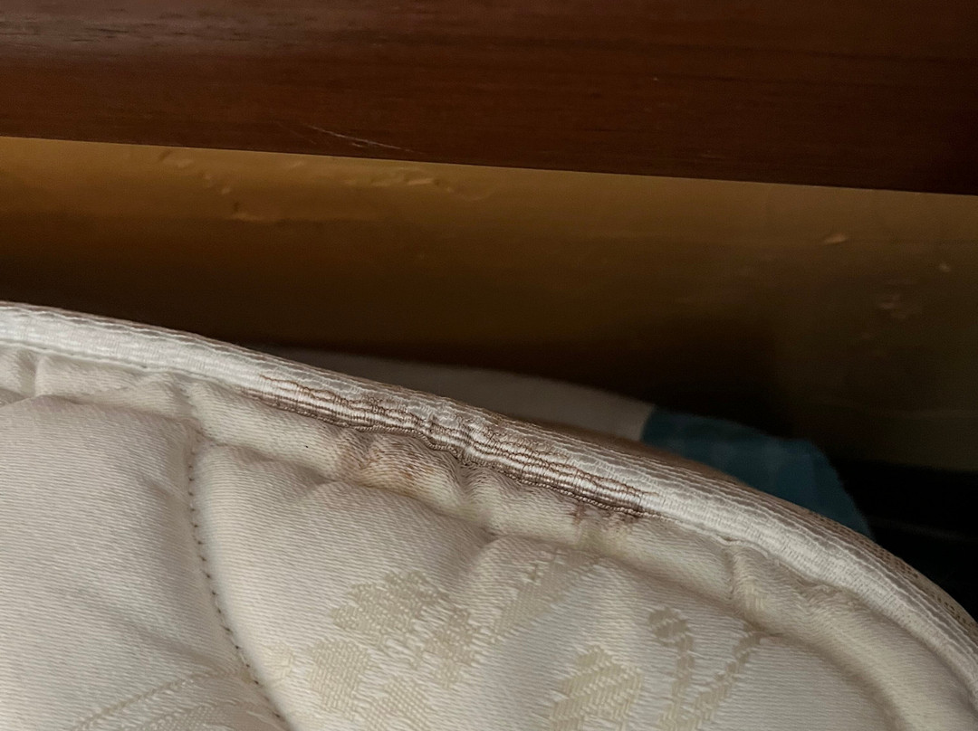 坦帕布兰登万枫酒店及套房主图