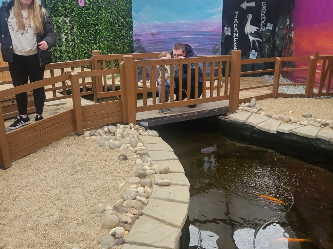 Butterfly World and Fountain World-Wootton必去景点