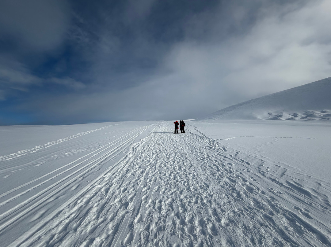 Svalbard Wildlife Expeditions-朗伊尔城必去景点