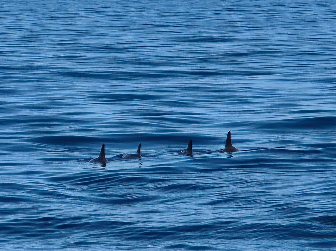 AquaSports-大加纳利必去景点