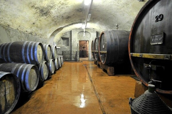 Castello di Montegrosso d'Asti-Montegrosso d'Asti必去景点