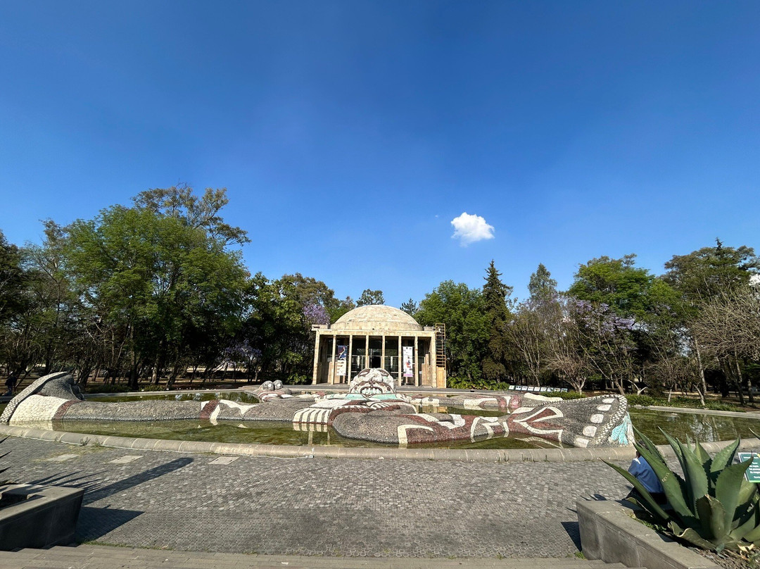 Museo del Carcamo de Dolores-墨西哥城必去景点