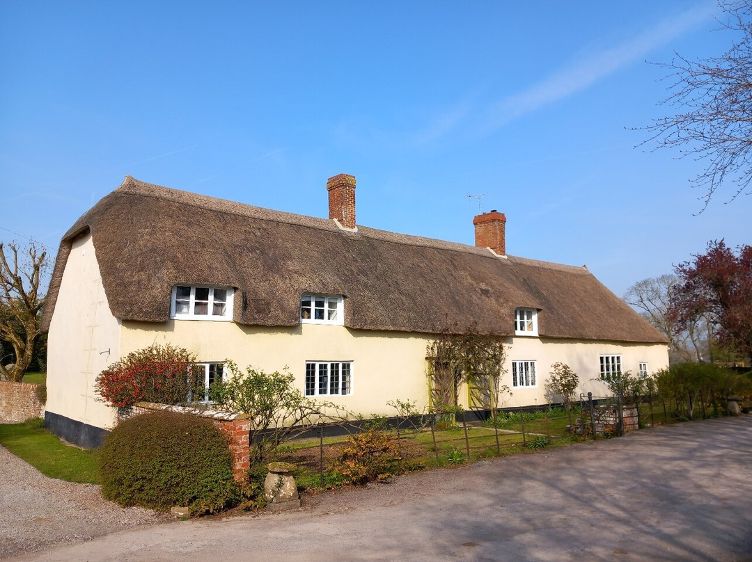 Lower Farm Bed and Breakfast主图