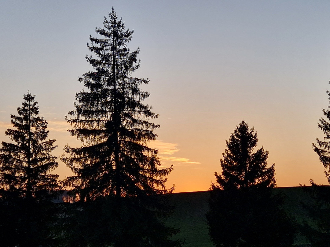 Feriendorf Lechbruck主图