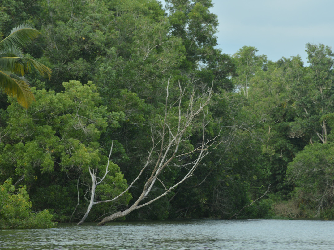 Poovar Backwater Cruise-Poovar必去景点