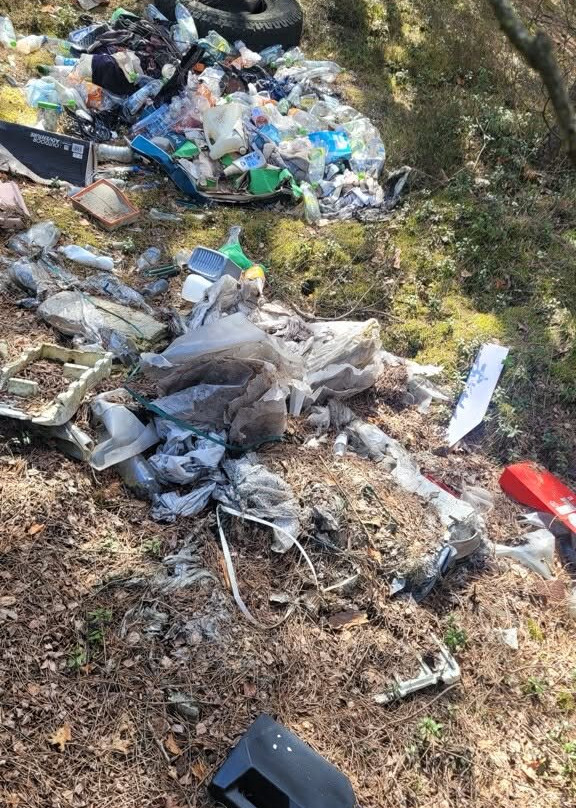 Jurajski Krysztal主图