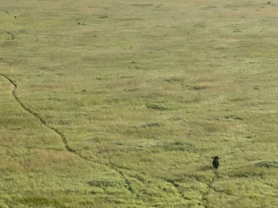 Tanzania Roadside Expeditions-阿鲁沙必去景点