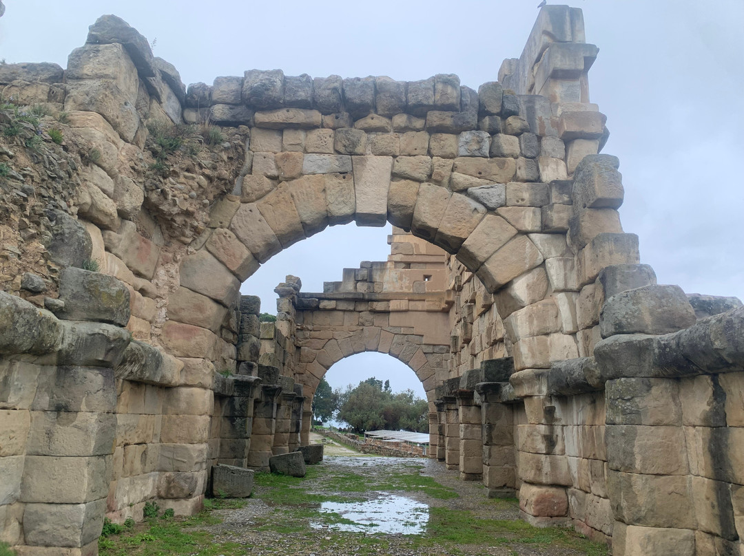 Sito archeologico di Tindari (Patti, Me)-Tindari必去景点