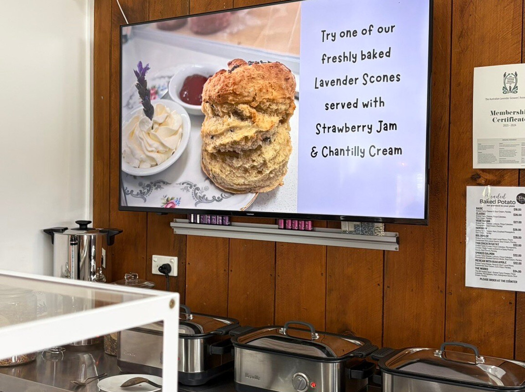 Fitzy's Farm Lavender Farm