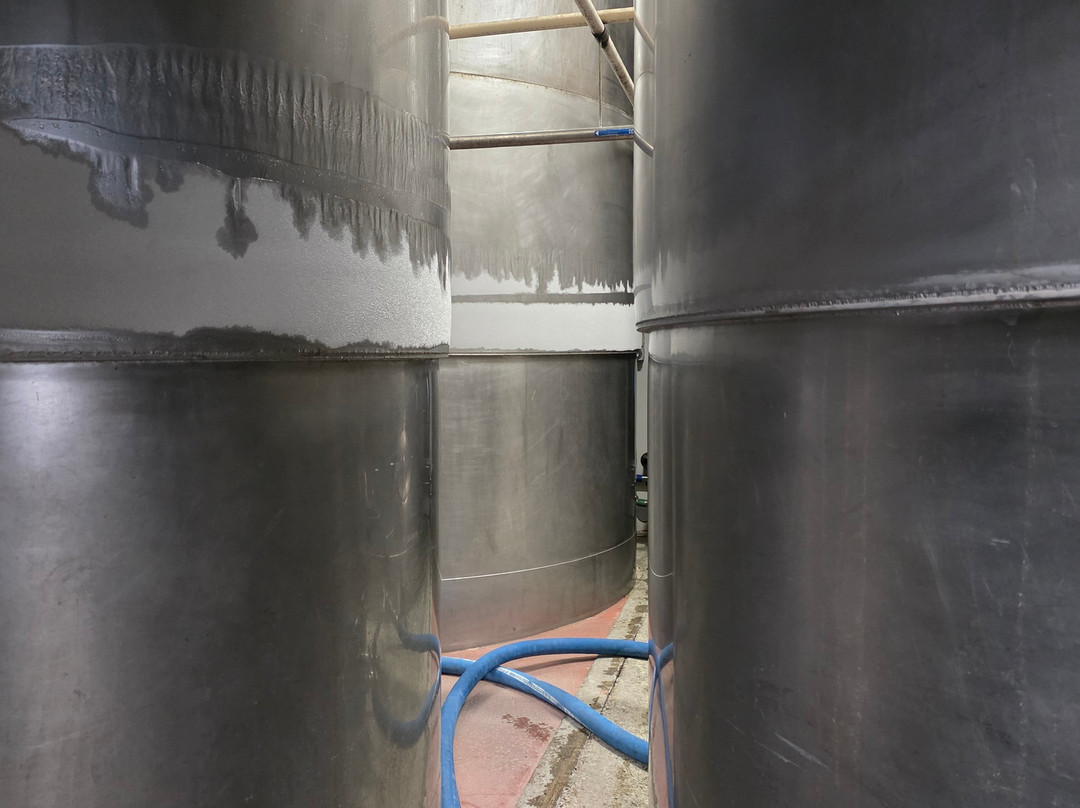 McCashin's Brewery-尼尔森必去景点