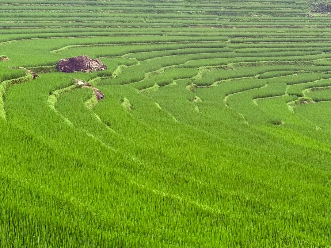 Au Fil Du Vietnam-河内必去景点