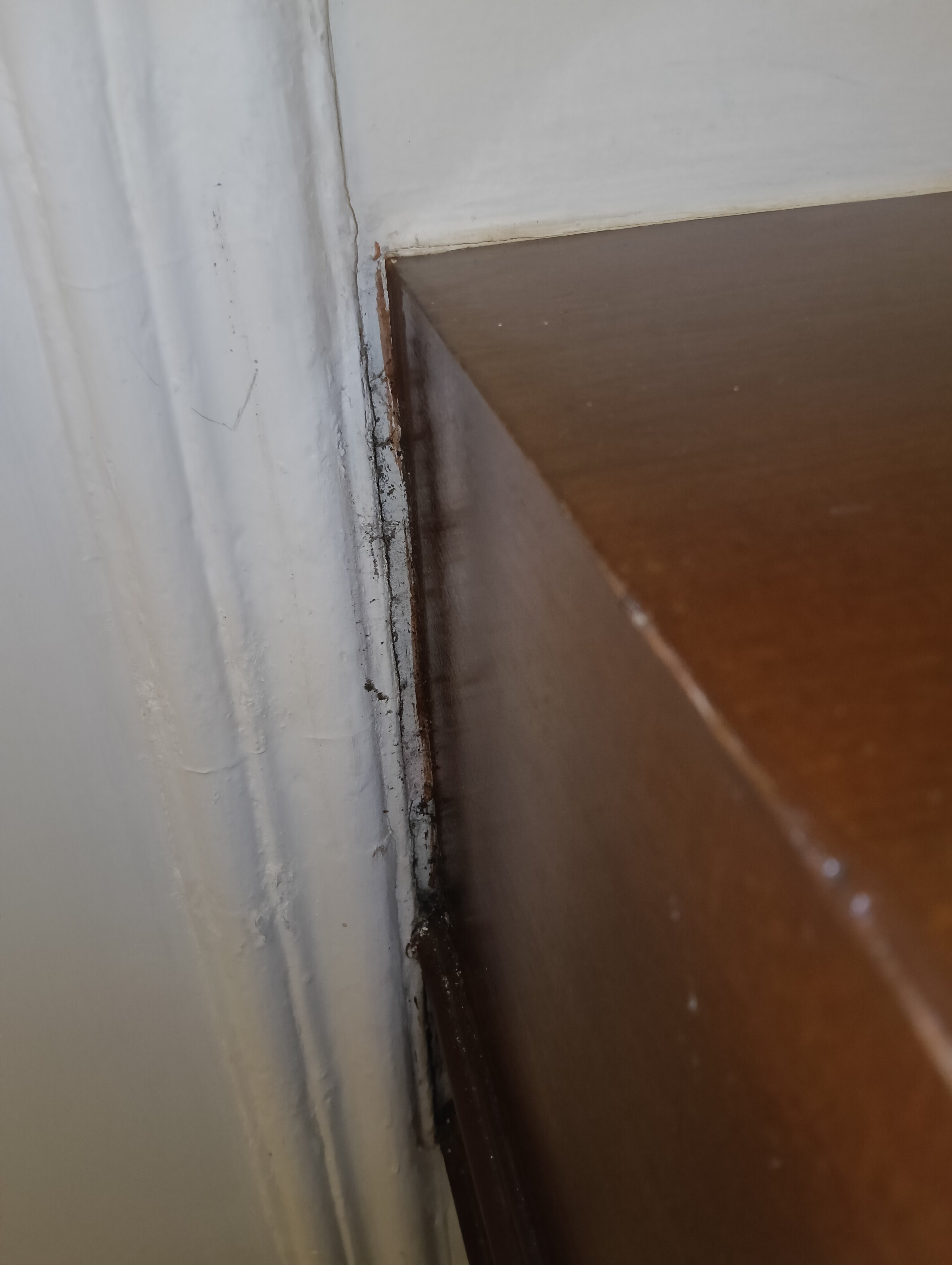 昌迪加尔吉拉克普尔温德姆华美达广场酒店-旅行者