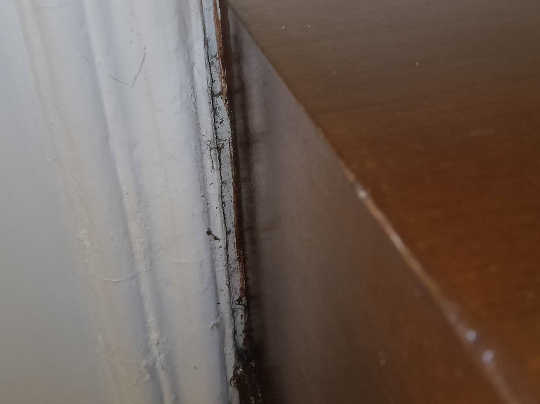 昌迪加尔吉拉克普尔温德姆华美达广场酒店主图