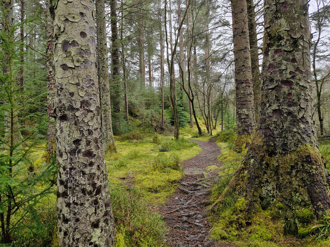 The Bishop's Glen-达农必去景点