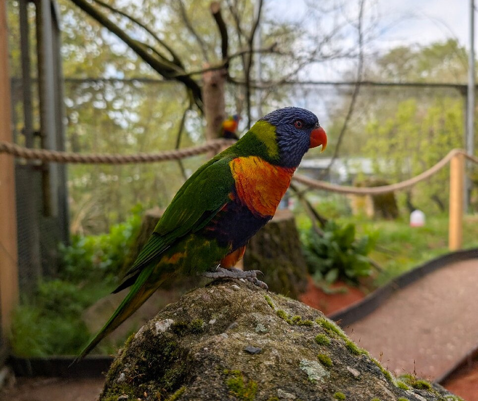 Grimpinger Hof-Olfen必去景点