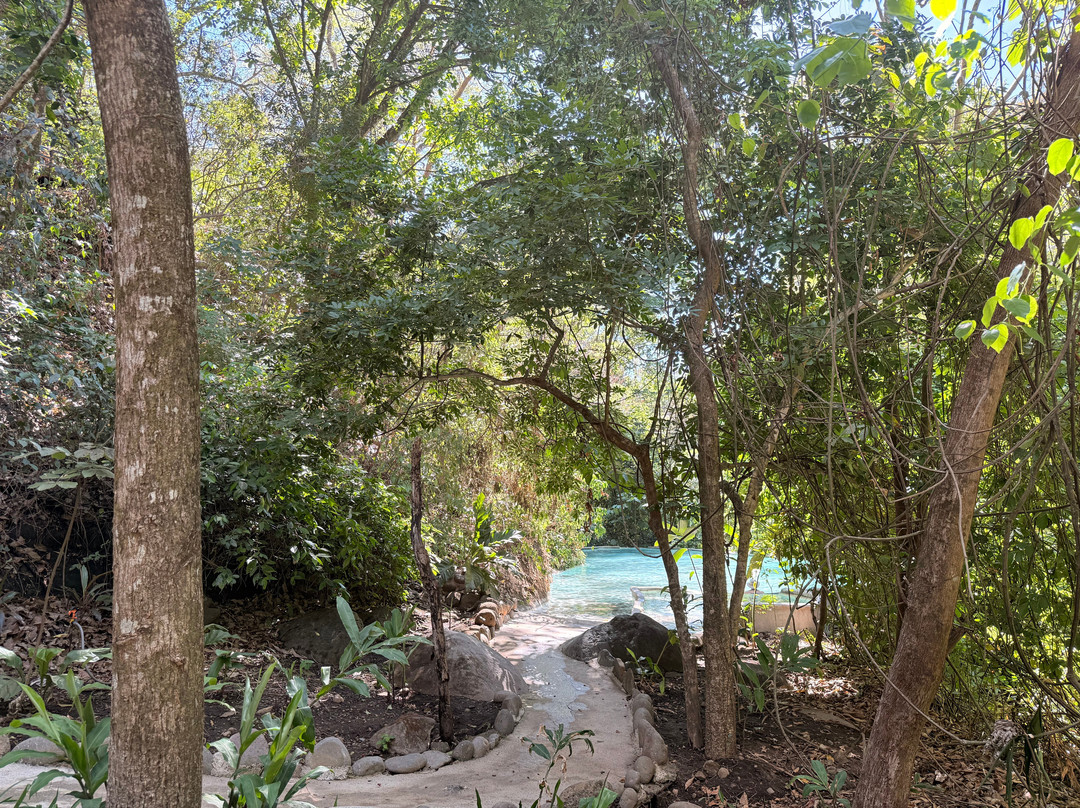 Prime Tours Costa Rica-利比里亚必去景点