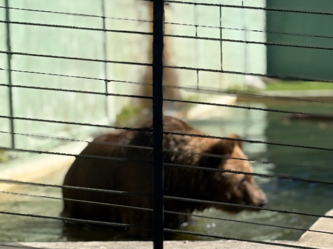 Zoo Pomerode-Pomerode必去景点