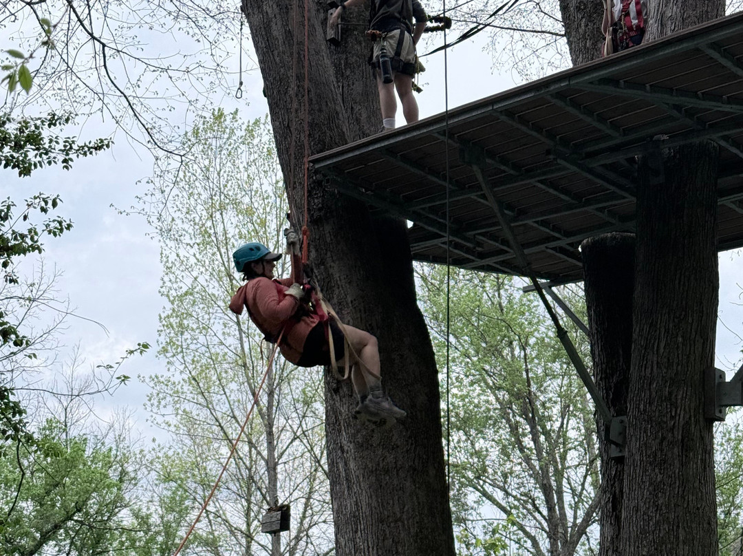 Hocking Hills Canopy Tours-Rockbridge必去景点