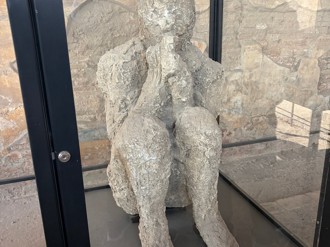 Pompei Tour Organizer-庞贝必去景点