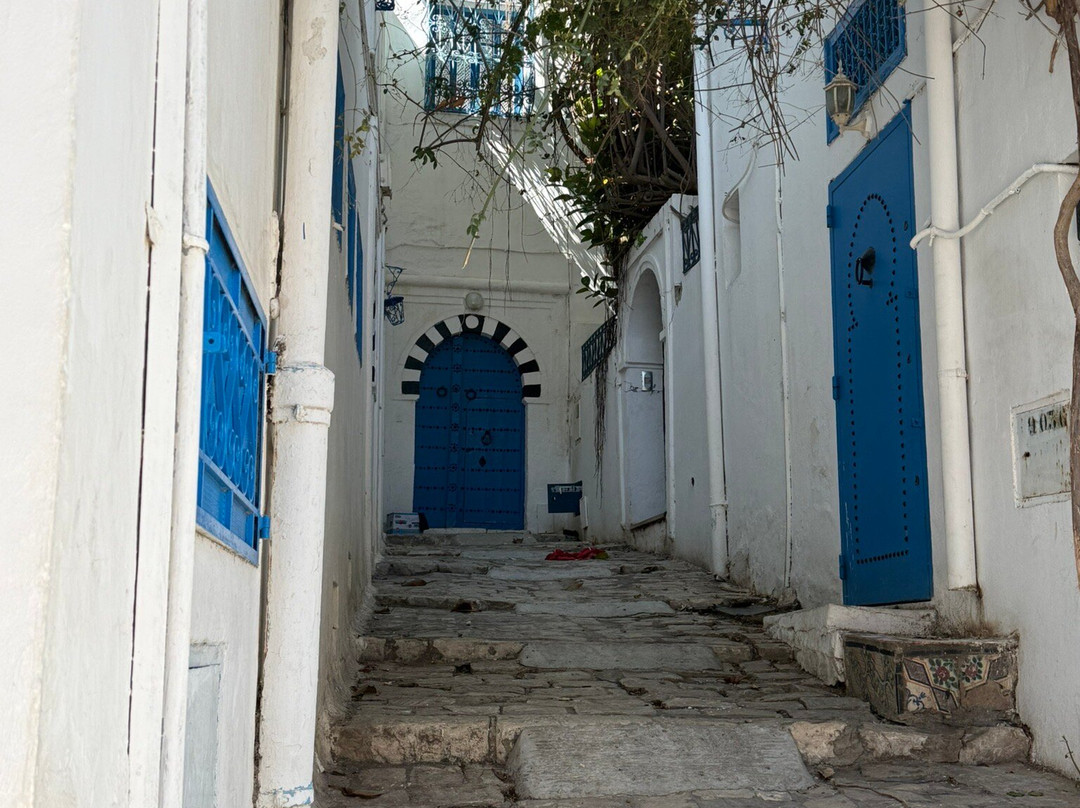 Sidi Bou Said Village-蓝白小镇必去景点