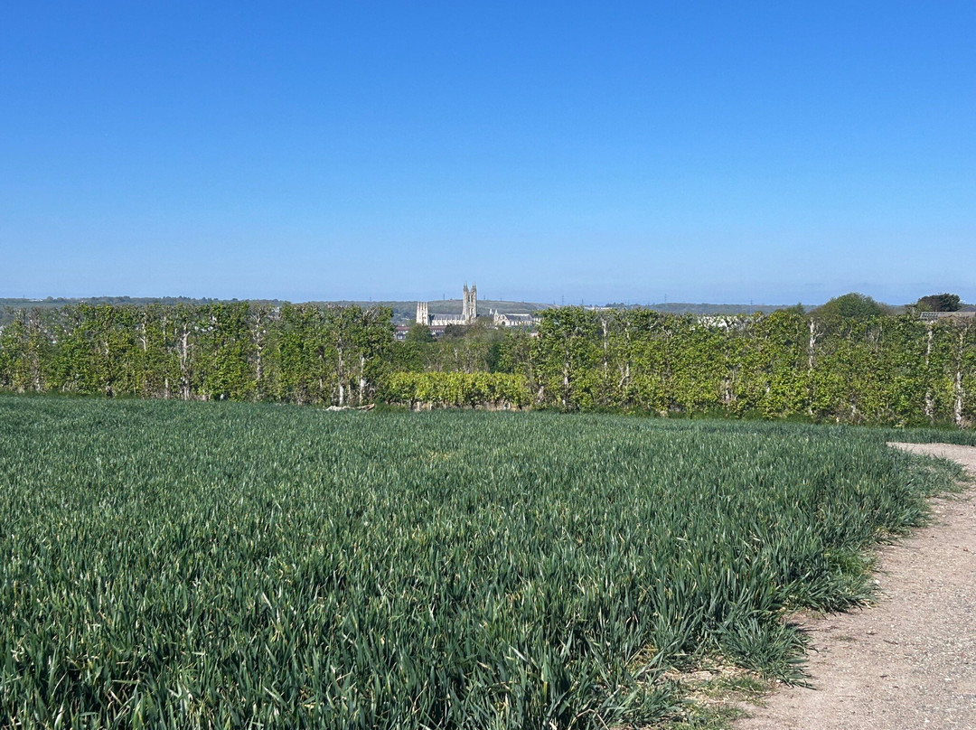 Canterbury Cathedral Panoramic Viewpoint-坎特伯雷必去景点