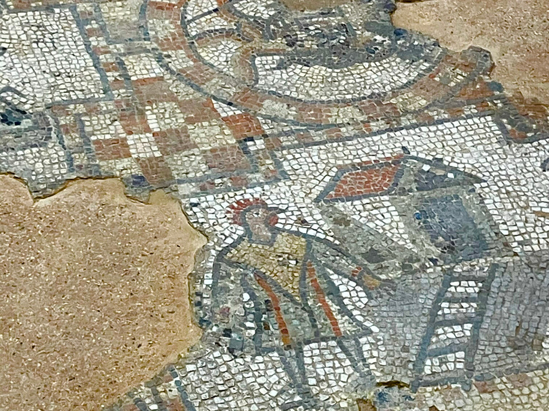 Brading Roman Villa-Brading必去景点