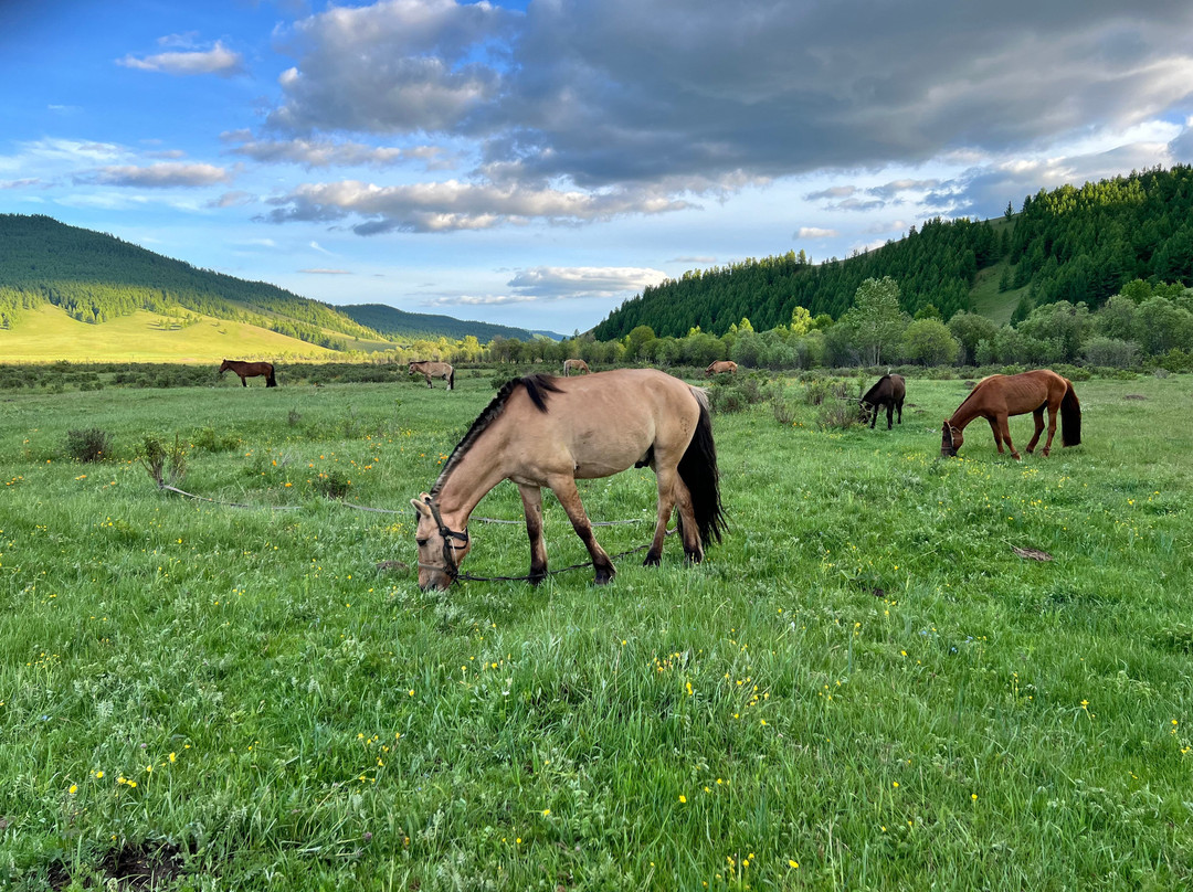Fat Horse Mongolia-Darhan必去景点
