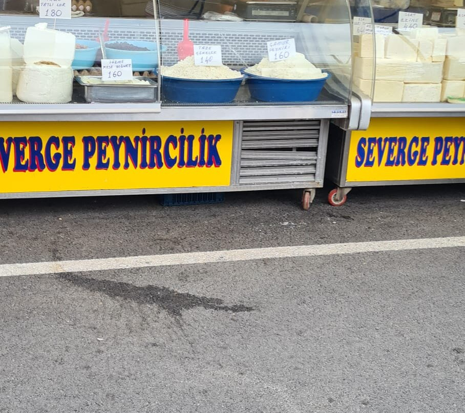Severge Peynircilik