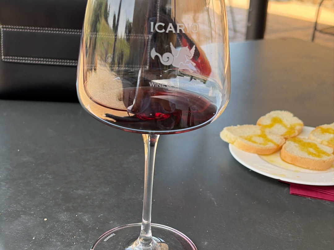 Icario Winery-蒙特普尔恰诺必去景点