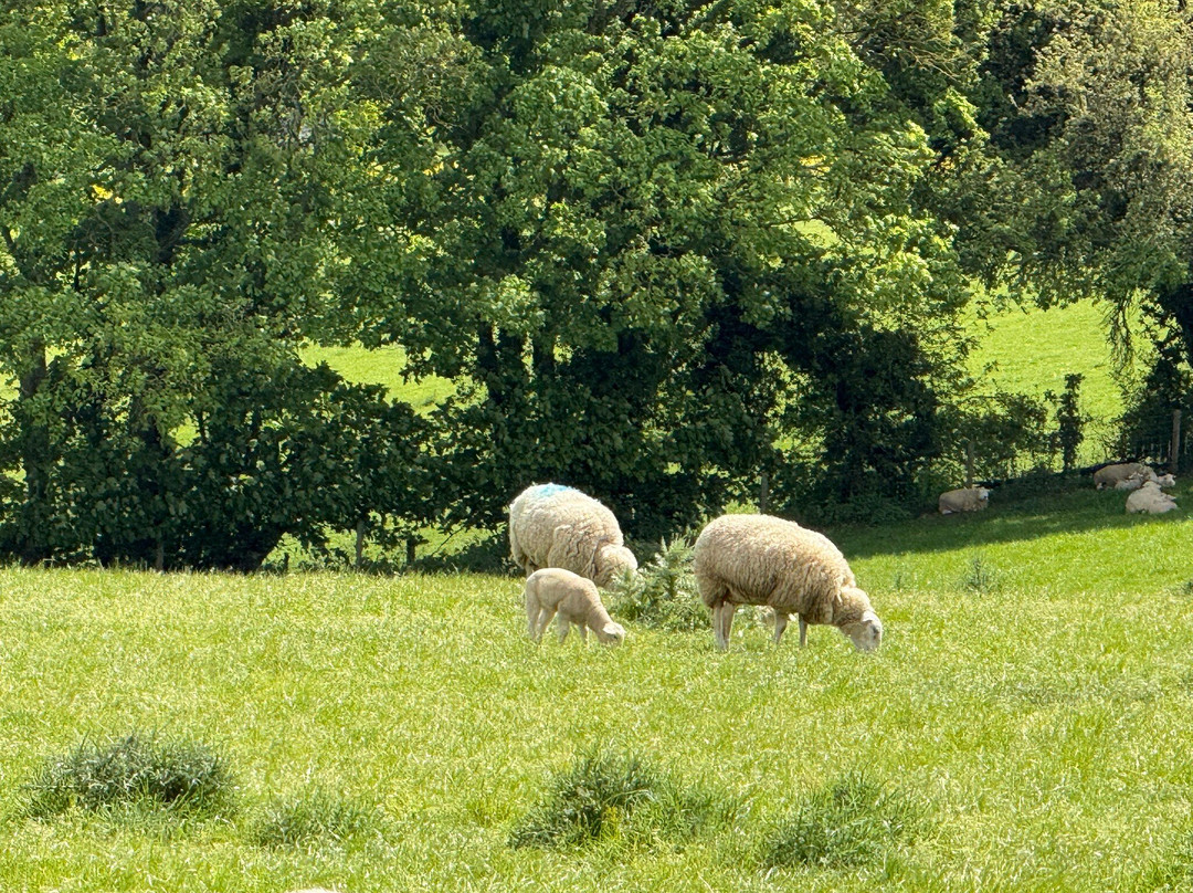 Cotswold Tours & Travel-莫顿因马什必去景点