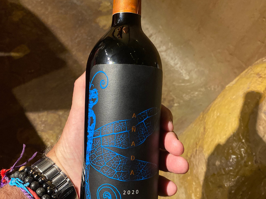 Bodega Atilio Avena-门多萨必去景点