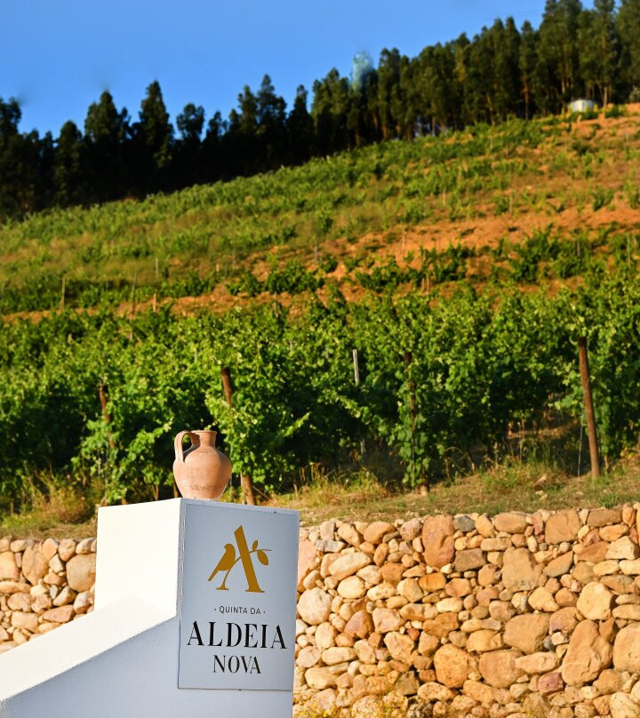 Quinta da Aldeia Nova