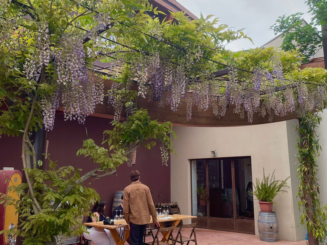 Ornina Winery-Castel Focognano必去景点