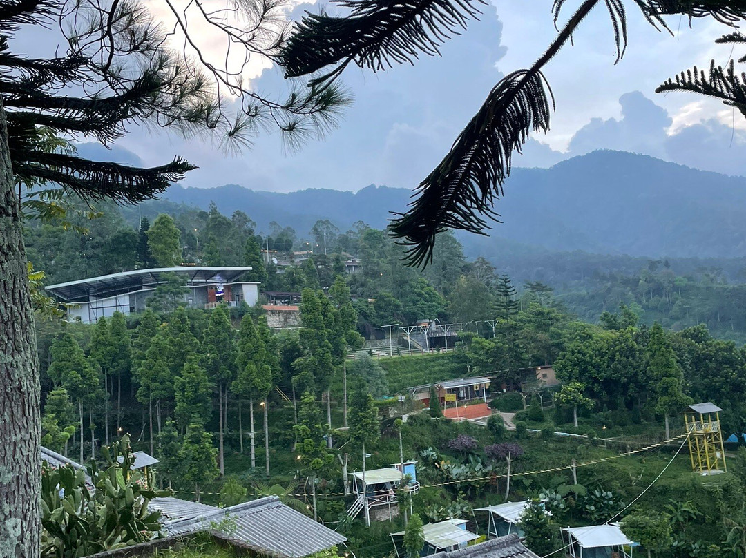 Umbul Sidomukti-三宝垄必去景点