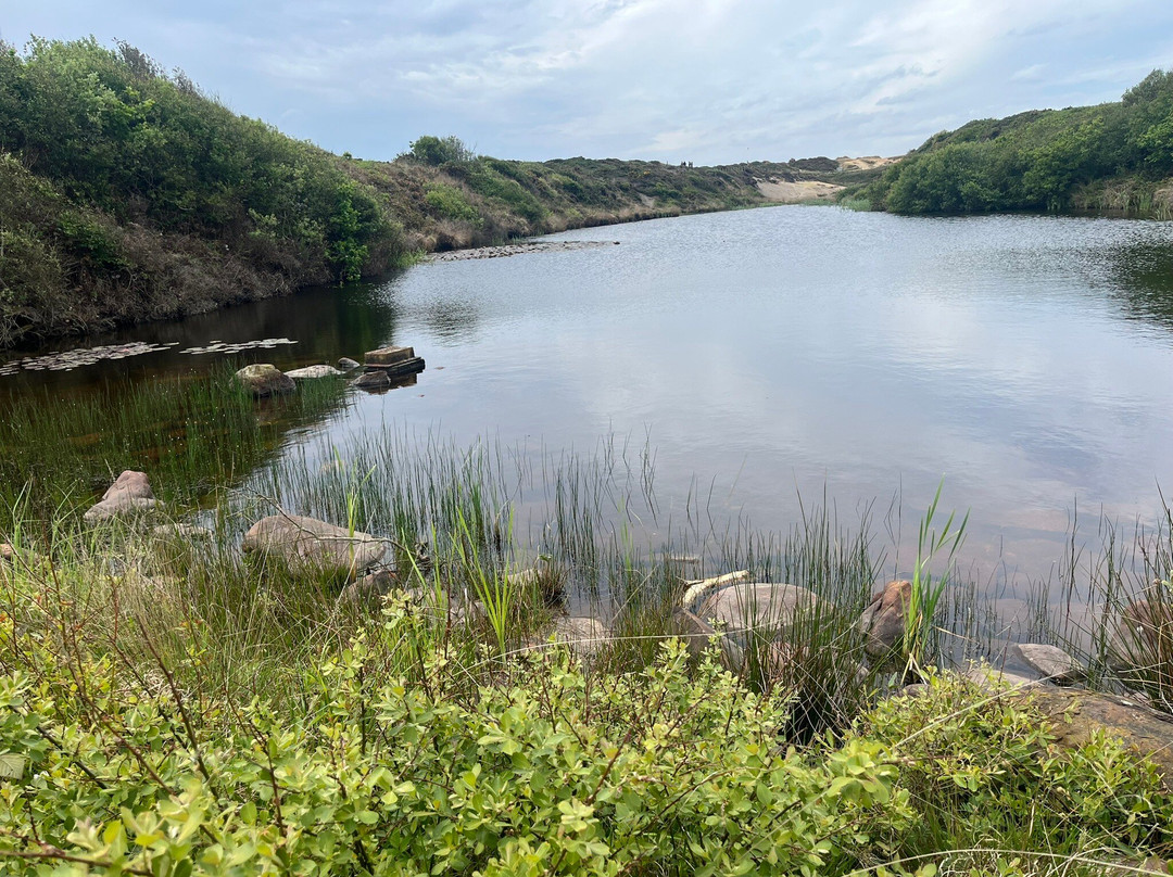 Hengistbury Head Visitor Centre-伯恩茅斯必去景点