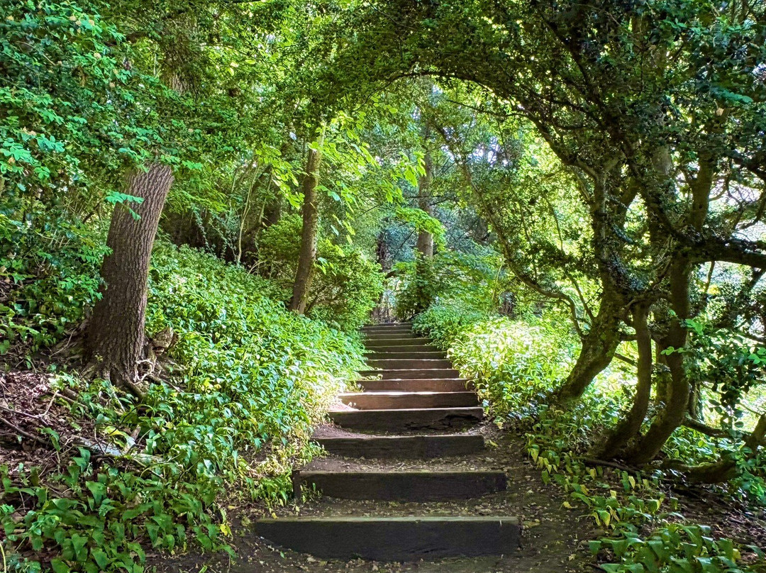 Iford Manor: The Peto Garden-埃文河畔布德拉夫必去景点